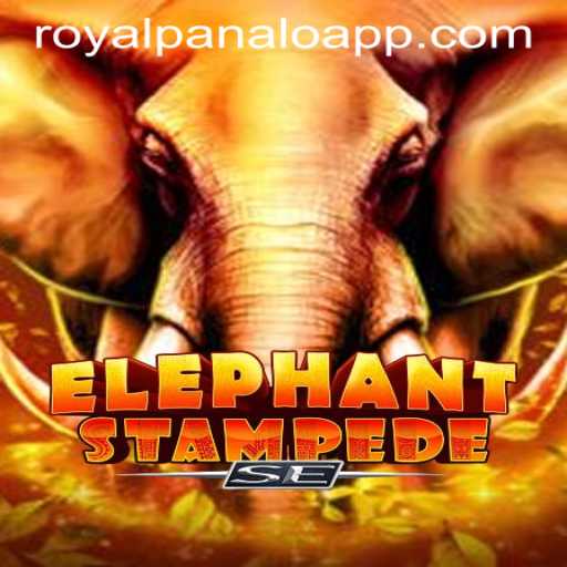 Exploring ElephantStampedeSE: A Thrilling Adventure in the ROYALPANALO APP